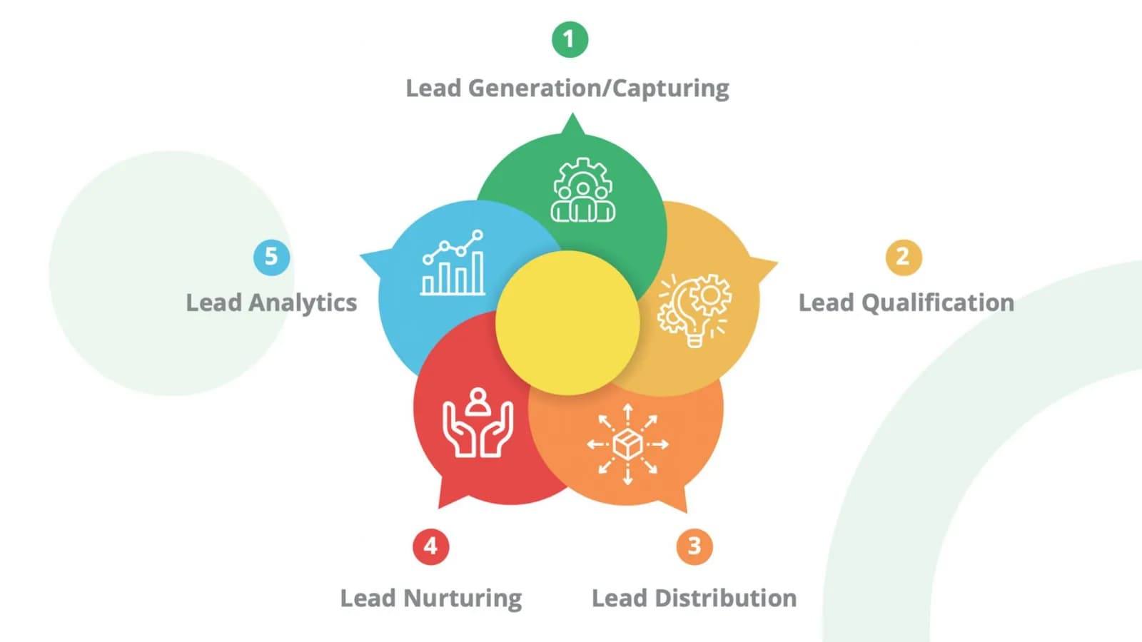 lead-management-101